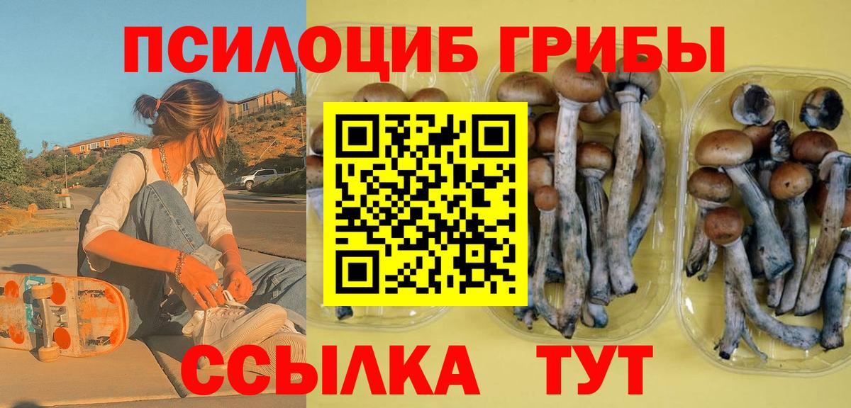 Галлюциногенные грибы Psilocybine cubensis  цены   Вход с VPN  Пермь  Галлюциногенные грибы Psilocybine cubensis 